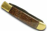 Pocket Knife with Fossil Dinosaur Bone Inlays & Base #370785-2